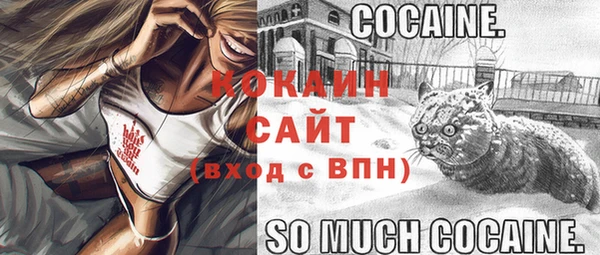 гашик Горно-Алтайск